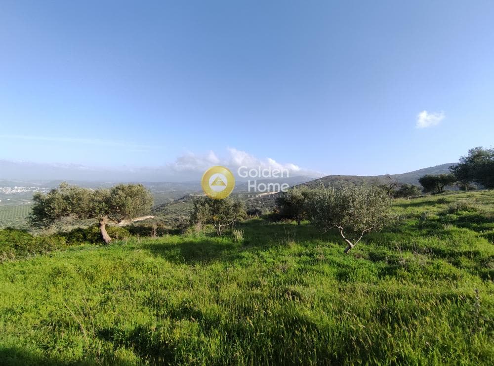Αγροτεμάχιο στην Καταλαγάρι, Αρχάνες — Φωτογραφία 3 από 11