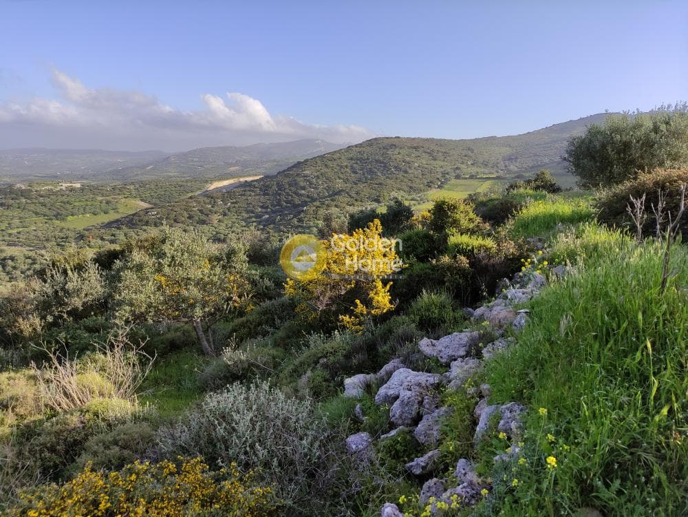 Αγροτεμάχιο στην Καταλαγάρι, Αρχάνες — Φωτογραφία 10 από 11