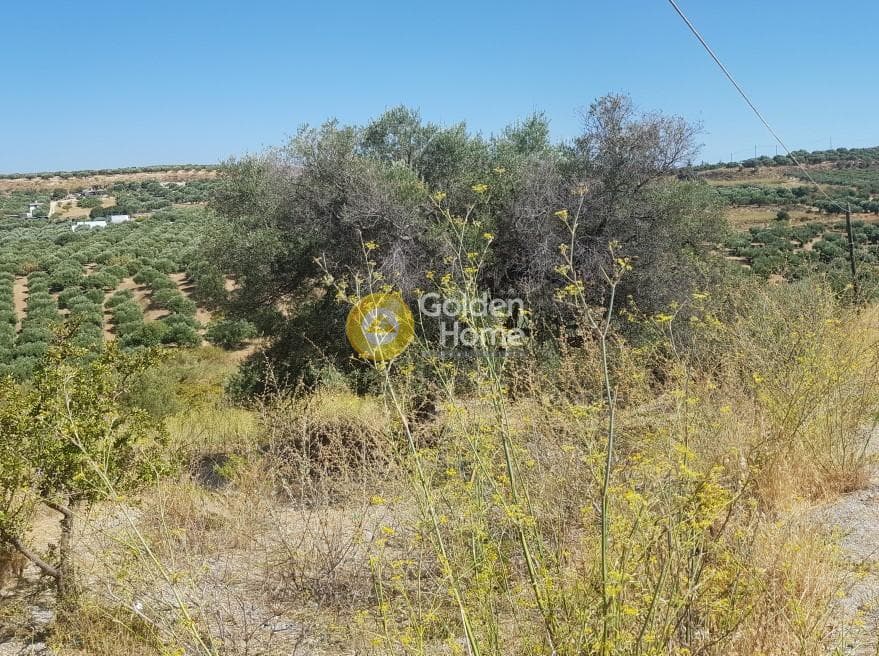 Building Plot in Ethia, Heraclion Cretes — Photo 2 of 5