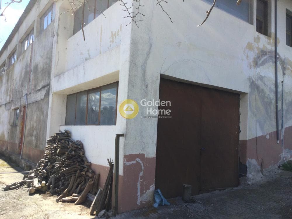 Βιομηχανικός Χώρος στην Νέο Ρύσιο, Μίκρα — Φωτογραφία 5 από 9