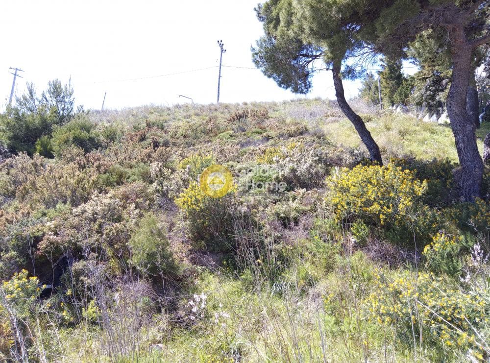 Οικόπεδο στην Καλλιθέα, Πεντέλη — Φωτογραφία 5 από 6