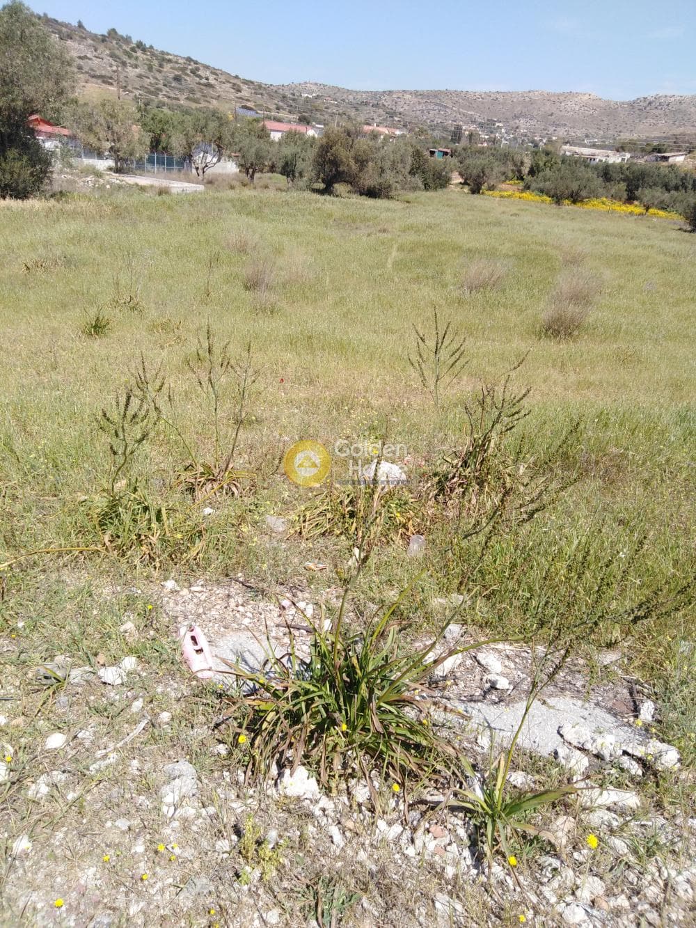 Οικόπεδο στην Βρωμοπούσι, Σαλαμίνα — Φωτογραφία 1 από 2