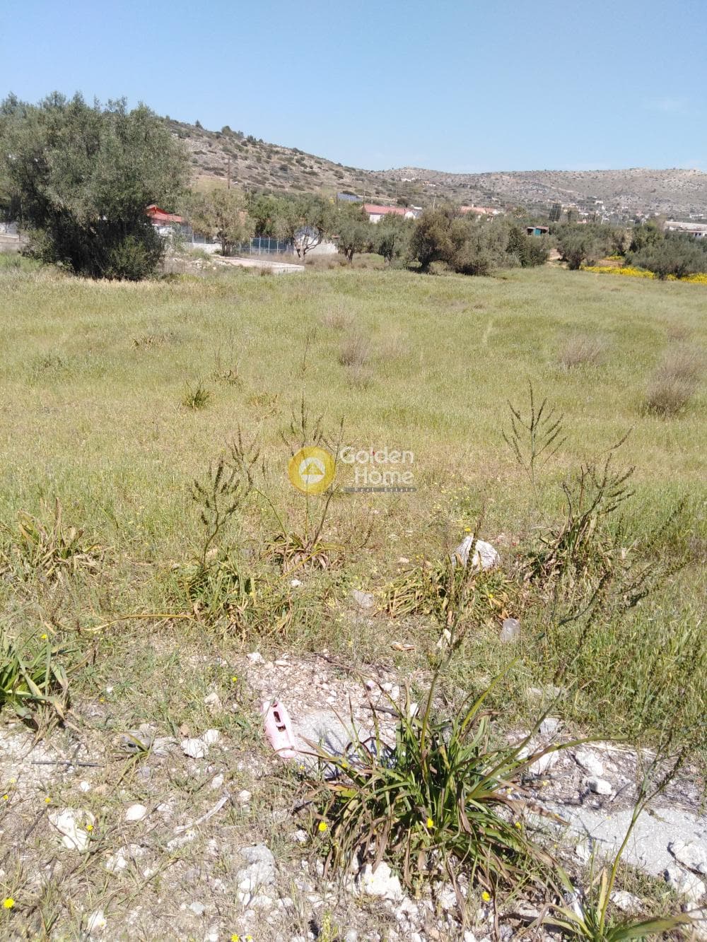 Οικόπεδο στην Βρωμοπούσι, Σαλαμίνα — Φωτογραφία 2 από 2