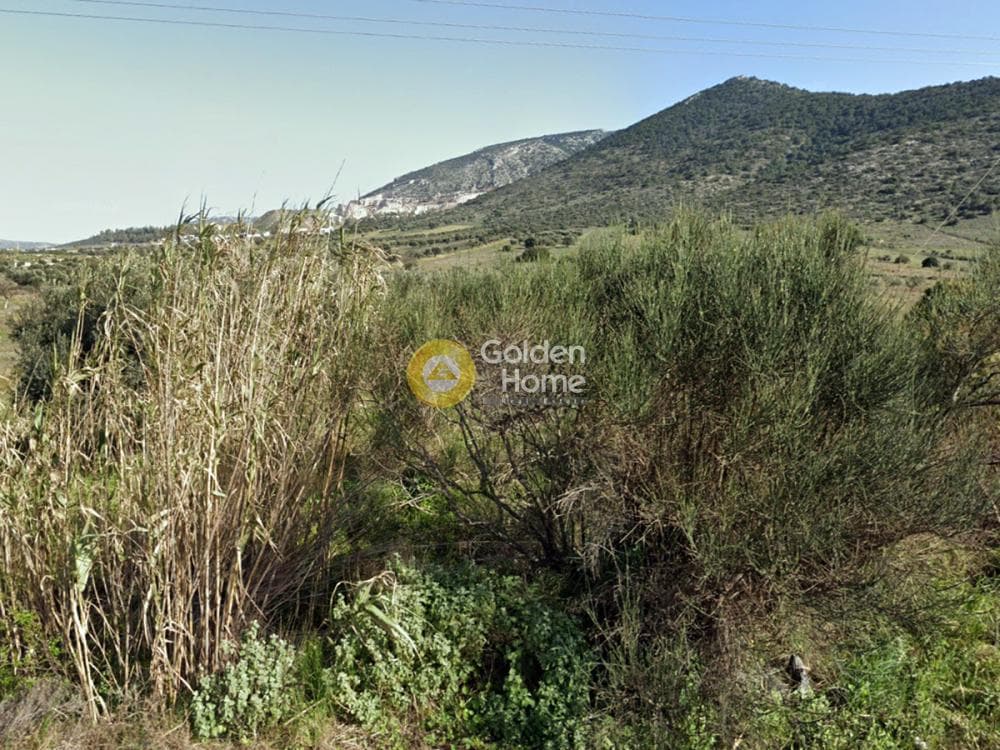 Parcel in Center, Markopoulo — Photo 1 of 2