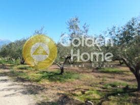 Οικόπεδο στην Πετροκεφάλι, Μοίρες — Φωτογραφία 1 από 8