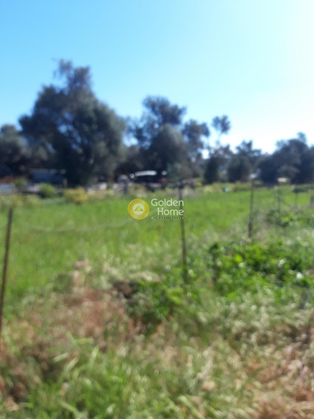 Building Plot in Kappariana, Moires — Photo 2 of 4