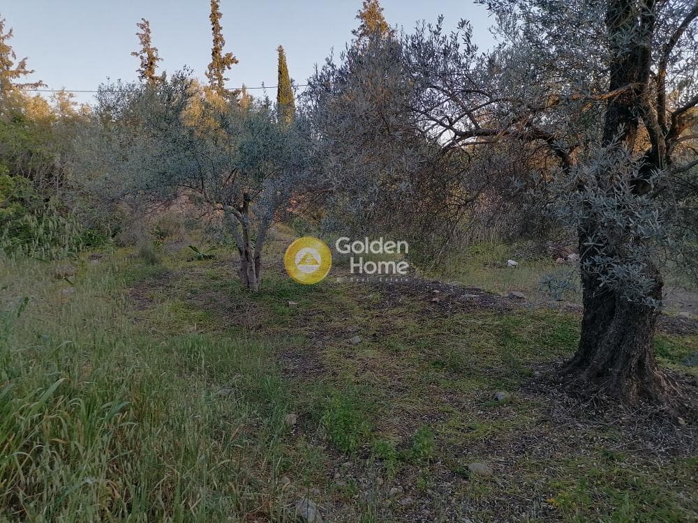 Οικόπεδο στην Φανερωμένη, Μοίρες — Φωτογραφία 8 από 12