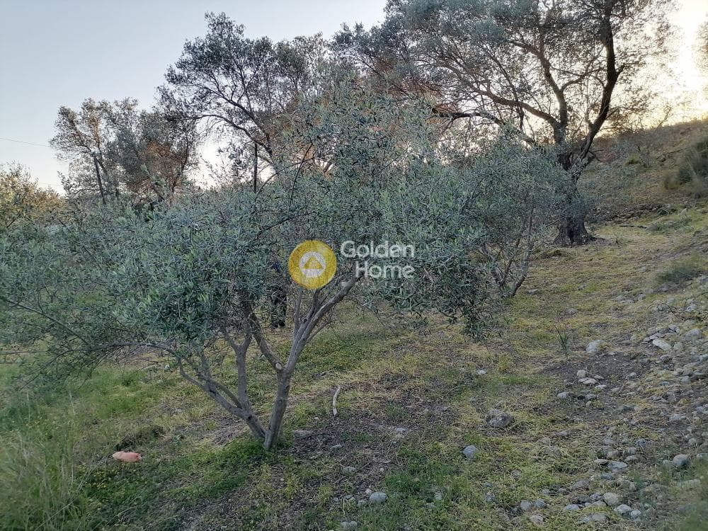 Οικόπεδο στην Φανερωμένη, Μοίρες — Φωτογραφία 9 από 12