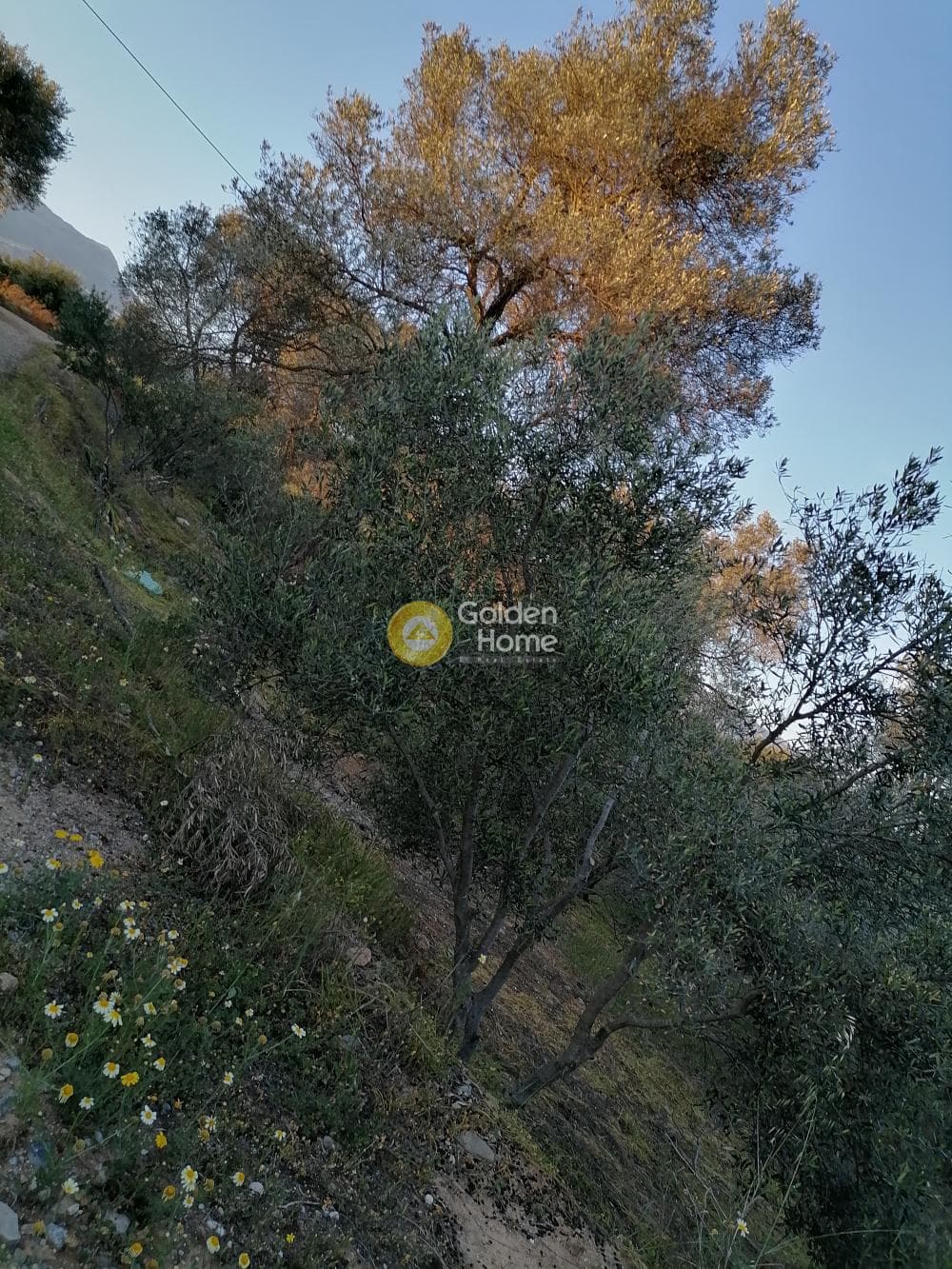 Οικόπεδο στην Φανερωμένη, Μοίρες — Φωτογραφία 12 από 12