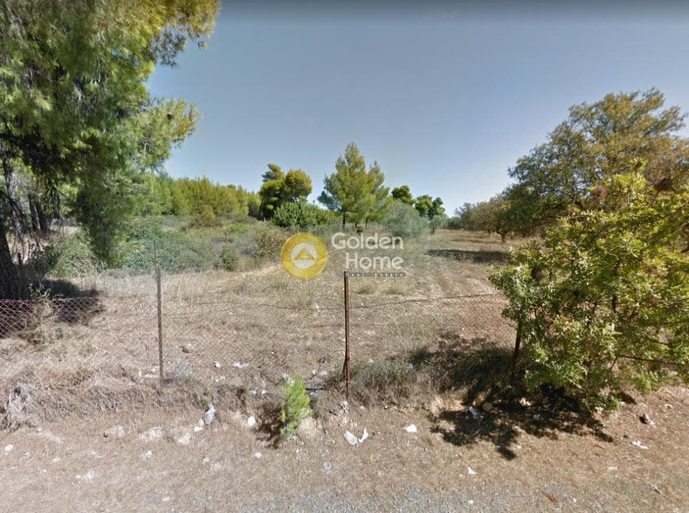 Αγροτεμάχιο στην Μεγάλα Σχοινία Α, Αχαρνές — Φωτογραφία 2 από 2