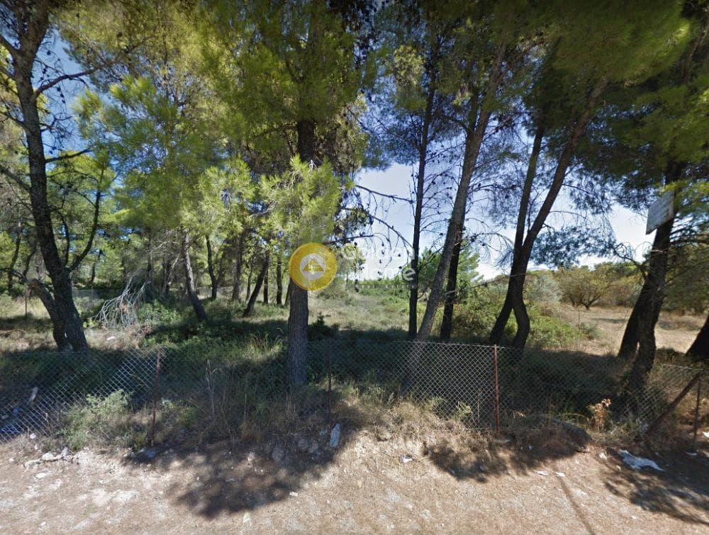 Αγροτεμάχιο στην Μεγάλα Σχοινία Α, Αχαρνές — Φωτογραφία 1 από 2