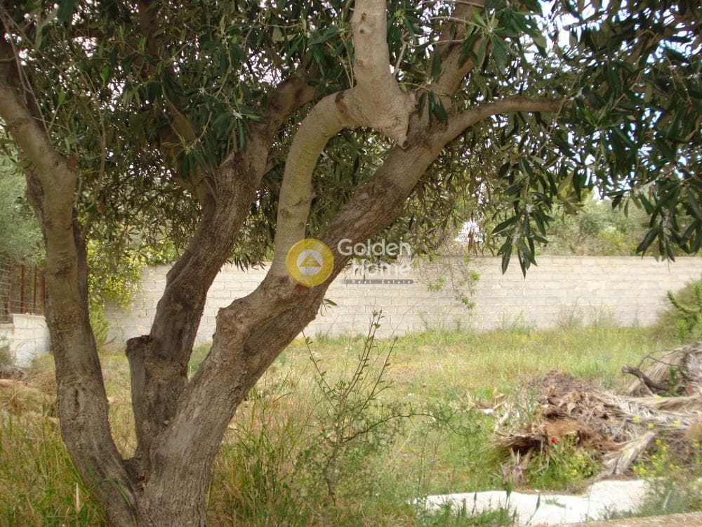 Οικόπεδο στην Γαλάζια ακτή, Καλύβια Θορικού — Φωτογραφία 1 από 5
