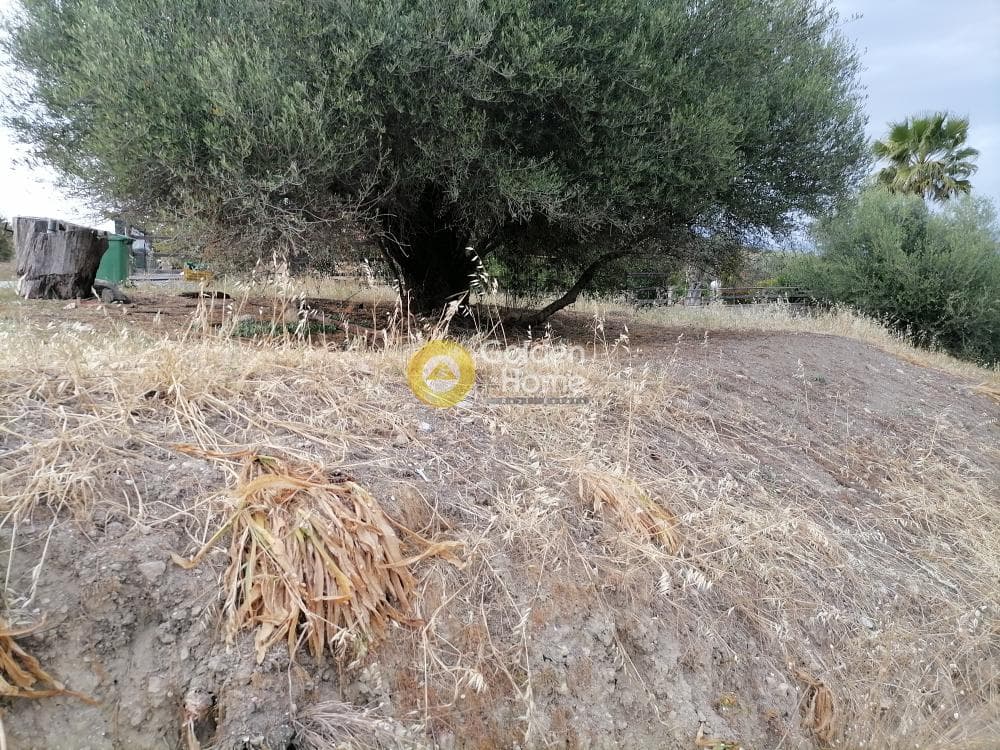 Building Plot in Kouses, Moires — Photo 4 of 6