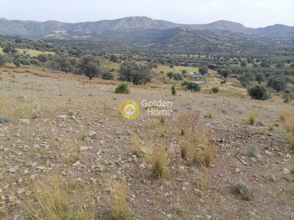 Αγροτεμάχιο στην Καμηλάρι, Τυμπάκι — Φωτογραφία 2 από 17
