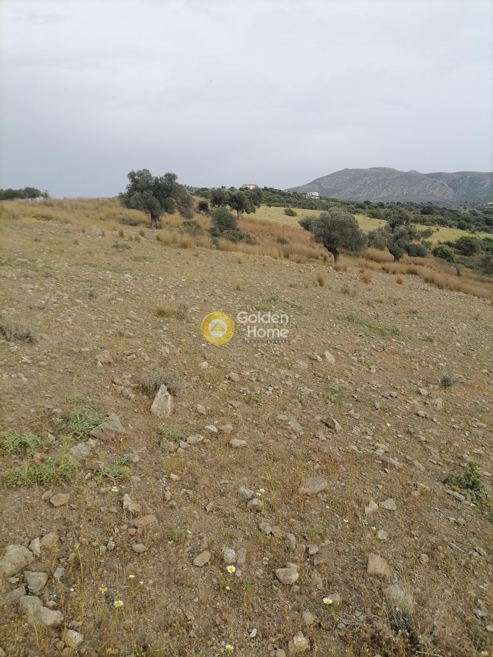 Αγροτεμάχιο στην Καμηλάρι, Τυμπάκι — Φωτογραφία 8 από 17