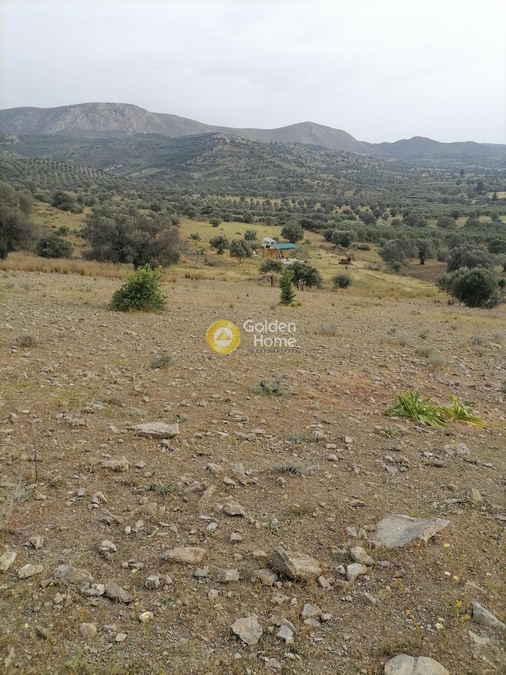 Αγροτεμάχιο στην Καμηλάρι, Τυμπάκι — Φωτογραφία 9 από 17