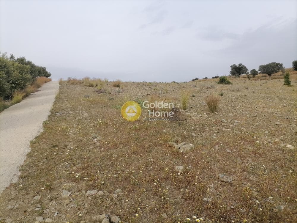 Αγροτεμάχιο στην Καμηλάρι, Τυμπάκι — Φωτογραφία 14 από 17