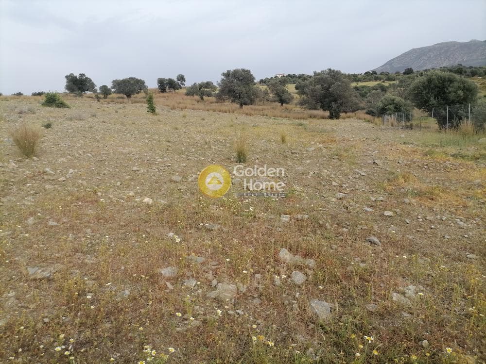 Αγροτεμάχιο στην Καμηλάρι, Τυμπάκι — Φωτογραφία 16 από 17