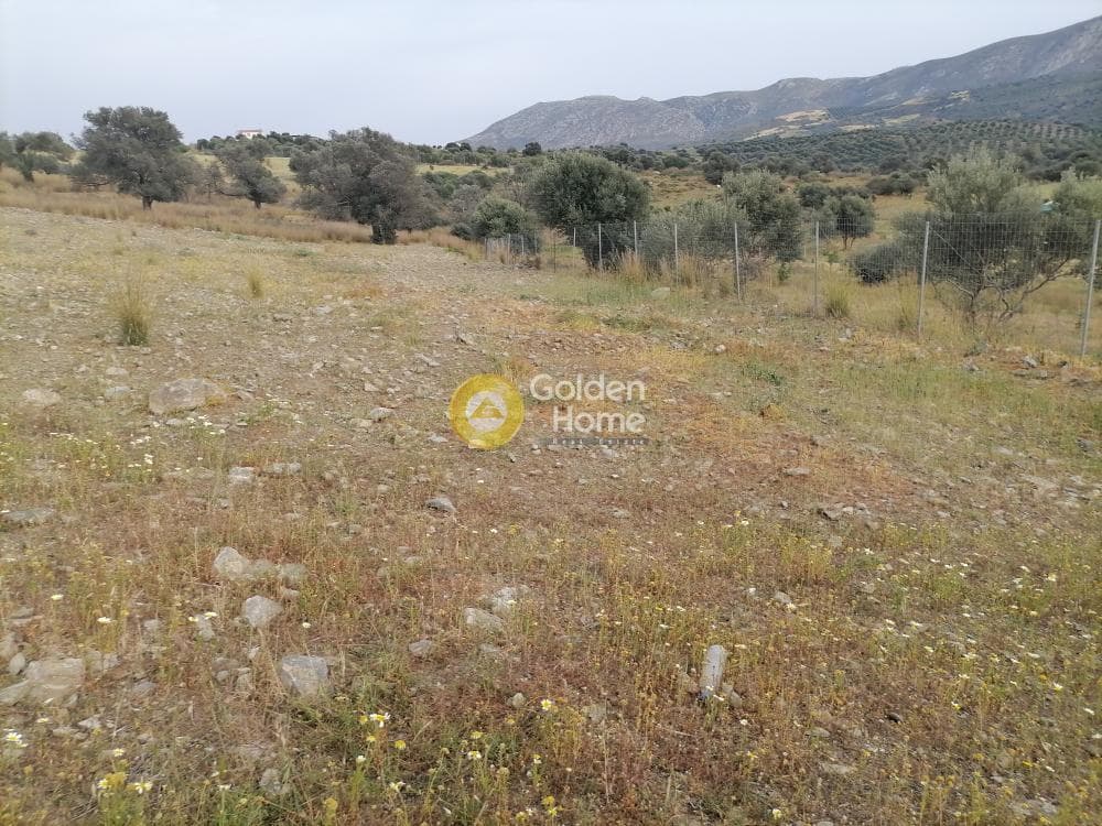 Αγροτεμάχιο στην Καμηλάρι, Τυμπάκι — Φωτογραφία 17 από 17