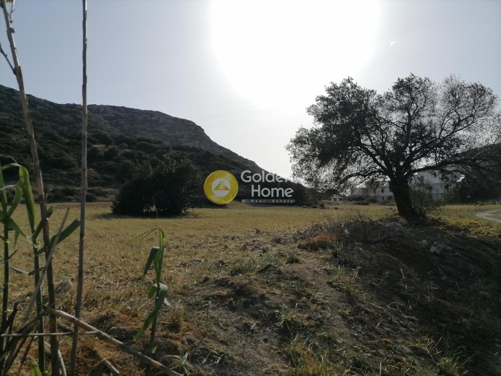 Αγροτεμάχιο στην Μάταλα, Τυμπάκι — Φωτογραφία 17 από 24