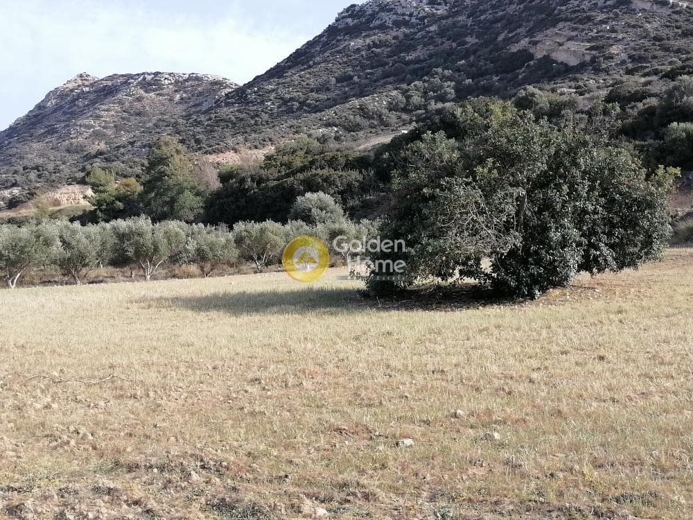 Αγροτεμάχιο στην Μάταλα, Τυμπάκι — Φωτογραφία 20 από 24