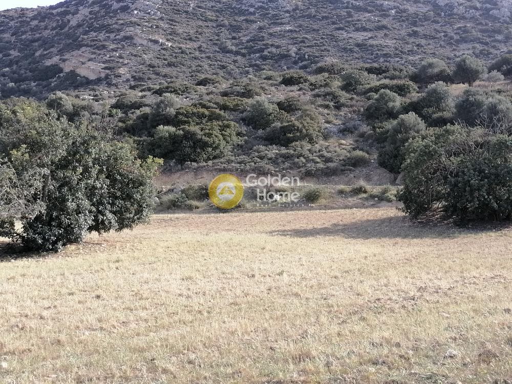 Αγροτεμάχιο στην Μάταλα, Τυμπάκι — Φωτογραφία 21 από 24