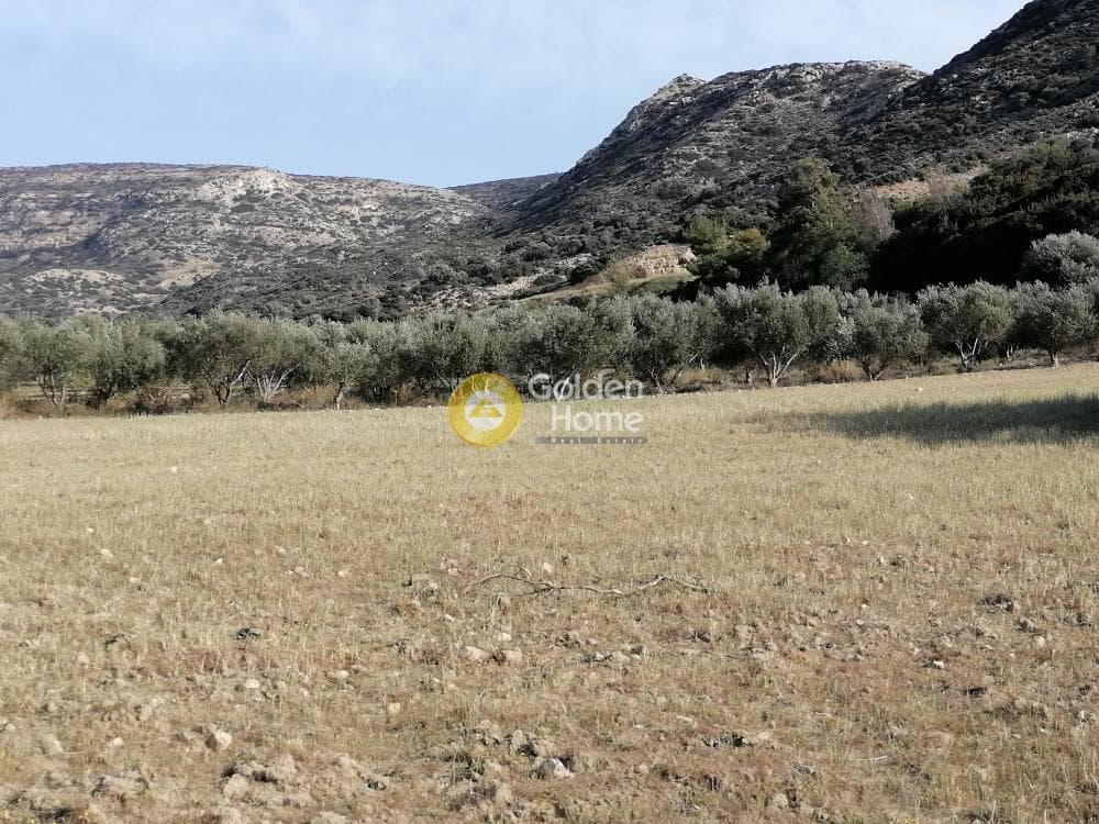 Αγροτεμάχιο στην Μάταλα, Τυμπάκι — Φωτογραφία 23 από 24