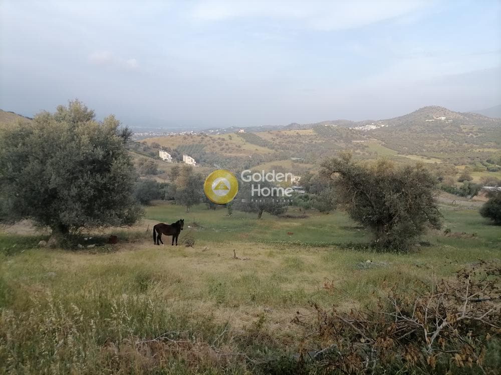 Οικόπεδο στην Κουσές, Μοίρες — Φωτογραφία 1 από 16