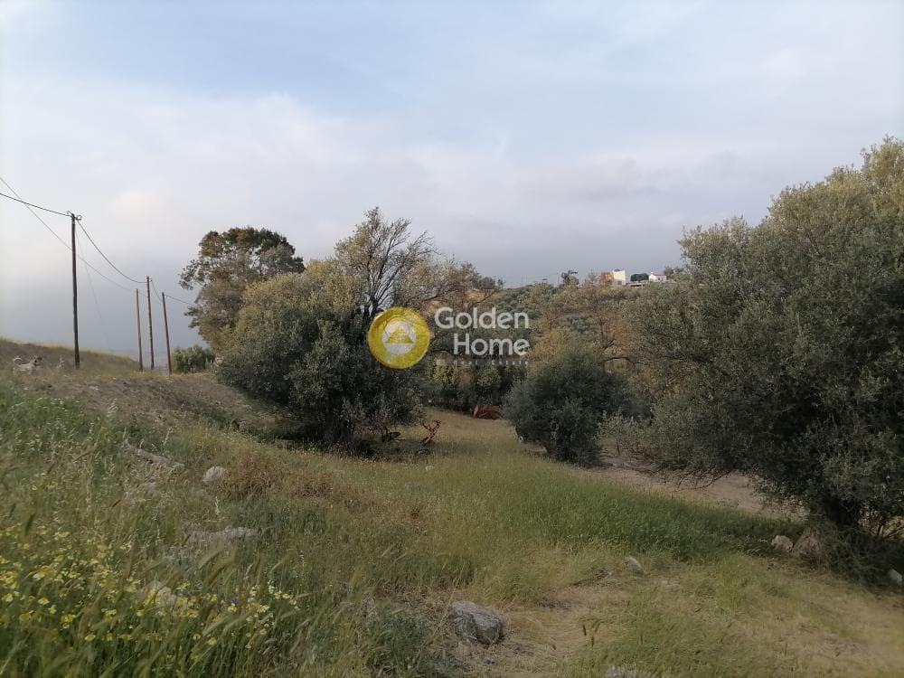 Οικόπεδο στην Κουσές, Μοίρες — Φωτογραφία 3 από 16