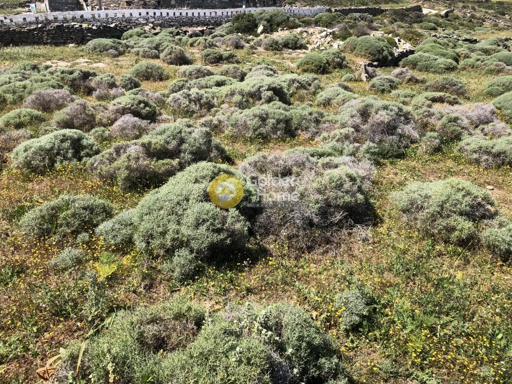 Οικόπεδο στην Λεύκες, Πάρος — Φωτογραφία 17 από 30