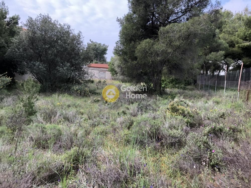 Building Plot in Megala Sxoinia A, Acharnes — Photo 1 of 3