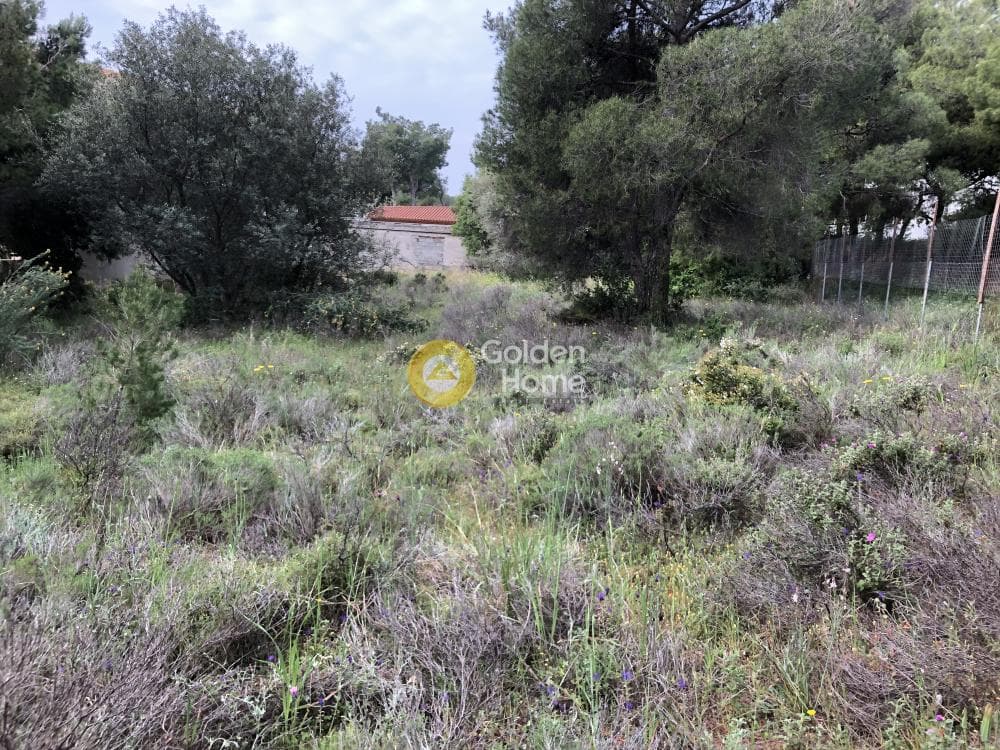 Building Plot in Megala Sxoinia A, Acharnes — Photo 3 of 3