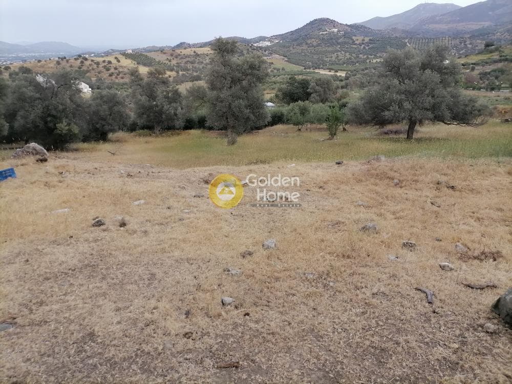 Parcel in Listaros, Moires — Photo 3 of 15