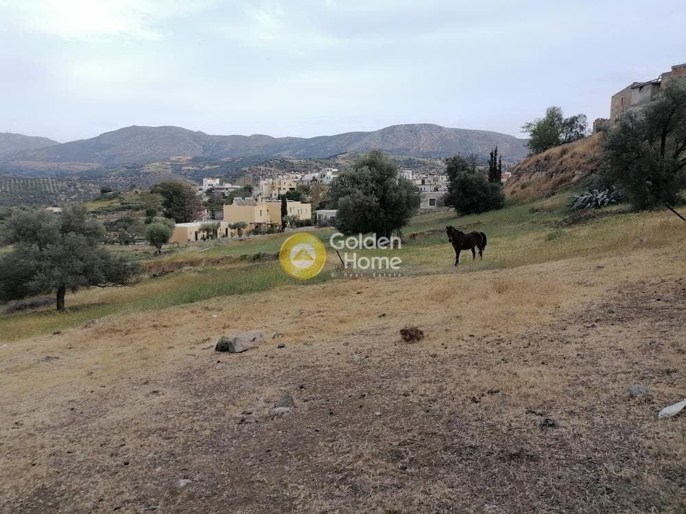 Parcel in Listaros, Moires — Photo 8 of 15