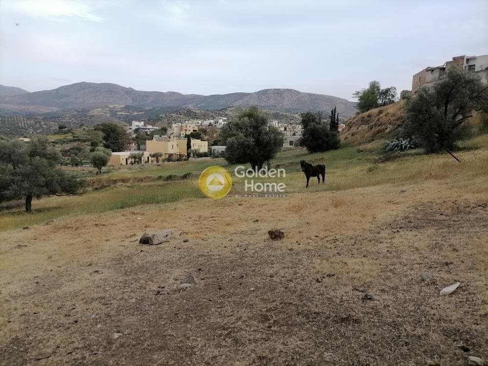 Parcel in Listaros, Moires — Photo 7 of 15