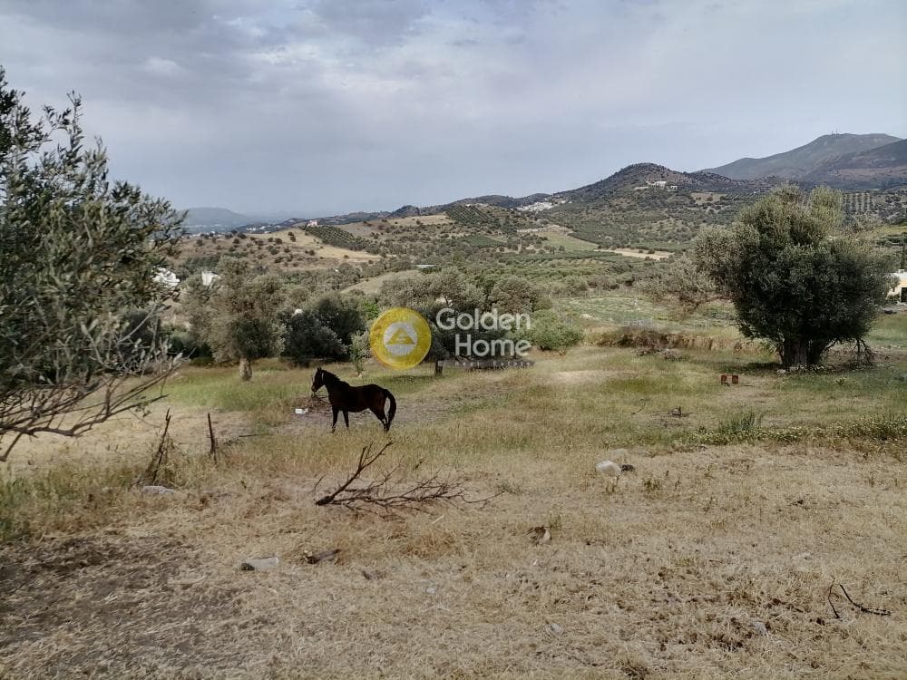 Parcel in Listaros, Moires — Photo 6 of 15