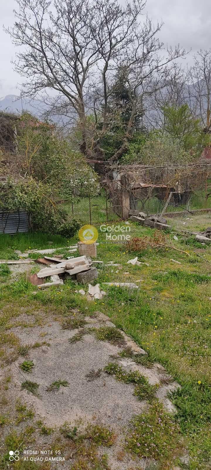 House in Skepasto, Kalavrita — Photo 4 of 19