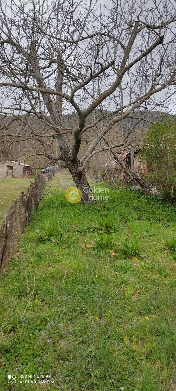 House in Skepasto, Kalavrita — Photo 17 of 19