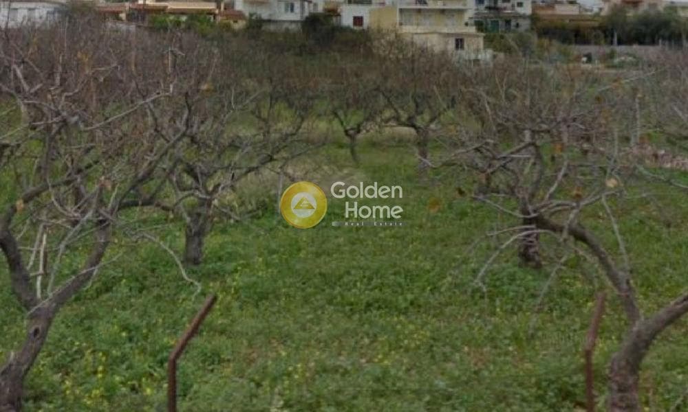 Οικόπεδο στην Κυψέλη, Αίγινα — Φωτογραφία 1 από 18
