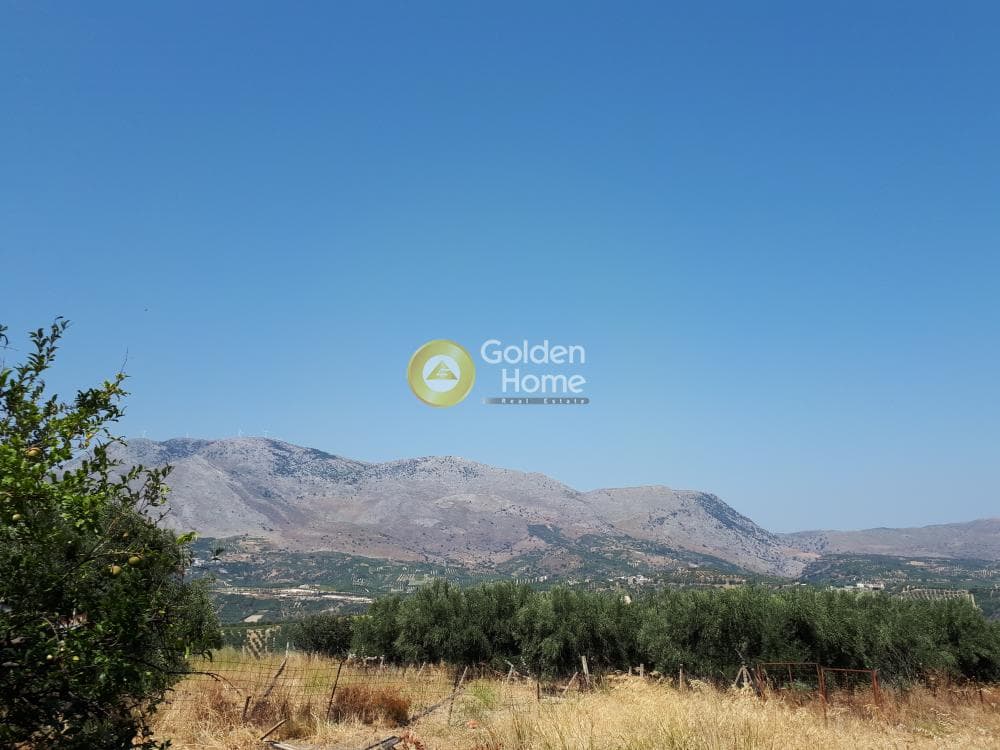 Οικόπεδο στην Πετροκέφαλο, Τετραχώρι — Φωτογραφία 4 από 5