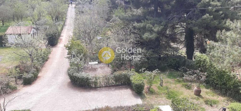 Μονοκατοικία στην Καπανδρίτι, Κ. Καπανδριτίου — Φωτογραφία 21 από 54