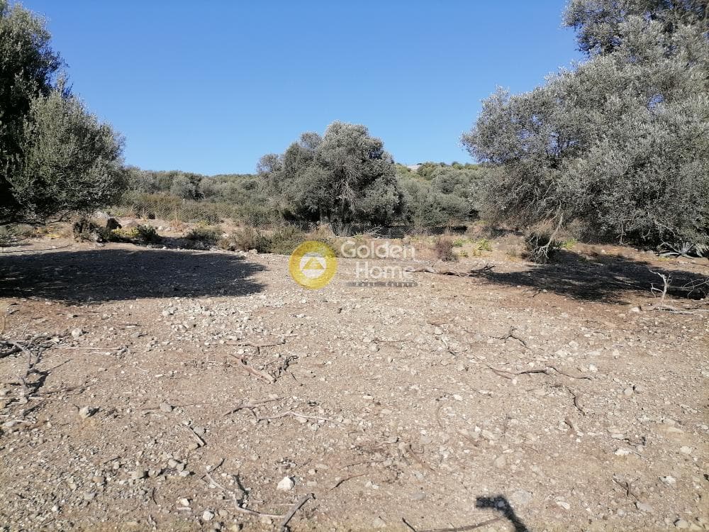 Parcel in Kouses, Moires — Photo 1 of 19