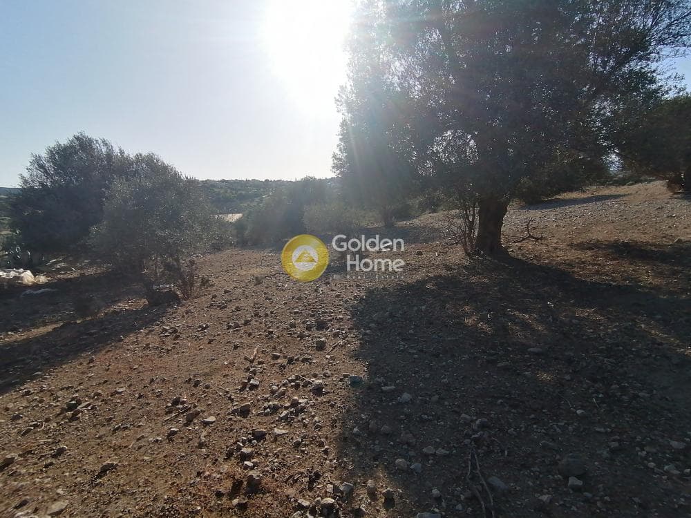 Parcel in Kouses, Moires — Photo 15 of 19