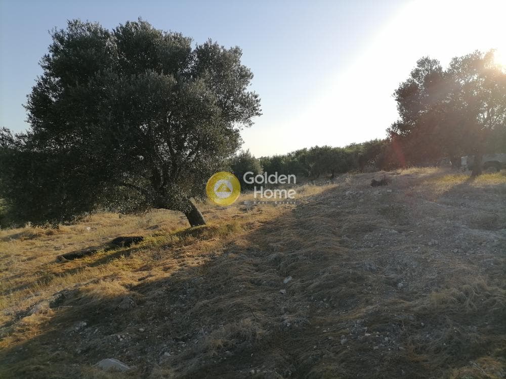 Αγροτεμάχιο στην Καμηλάρι, Τυμπάκι — Φωτογραφία 12 από 25