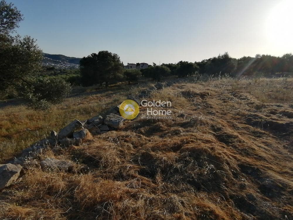 Αγροτεμάχιο στην Καμηλάρι, Τυμπάκι — Φωτογραφία 15 από 25