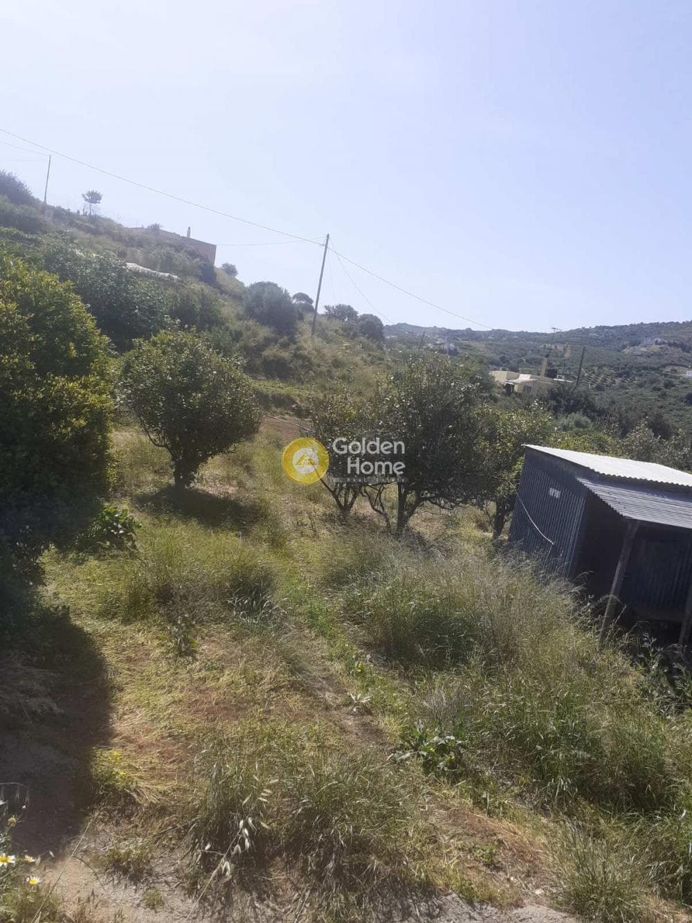 Parcel in Agia Pelagia, Gazi — Photo 7 of 12