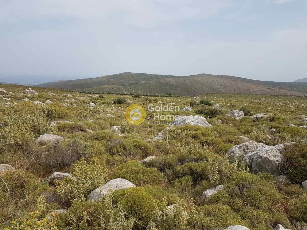 Οικόπεδο στην Σμάρι, Θραψανό — Φωτογραφία 3 από 7
