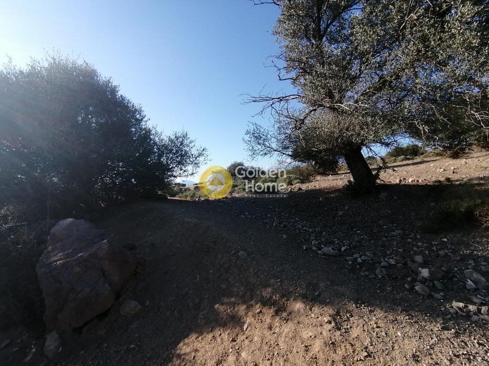 Parcel in Kouses, Moires — Photo 1 of 13