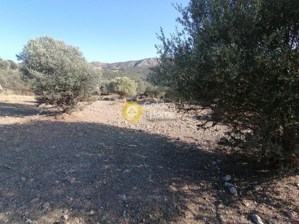 Parcel in Kouses, Moires — Photo 9 of 13