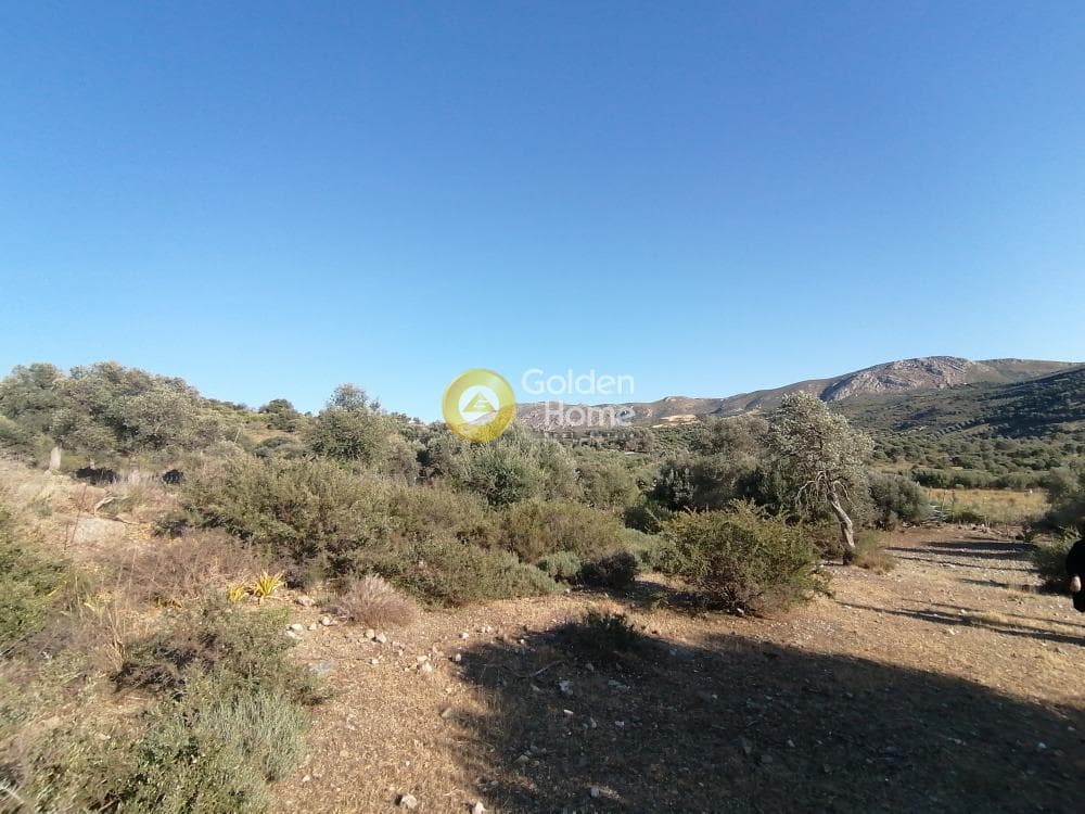 Parcel in Kouses, Moires — Photo 11 of 13